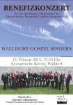 Plakat Benefizkonzert 13.2.2016